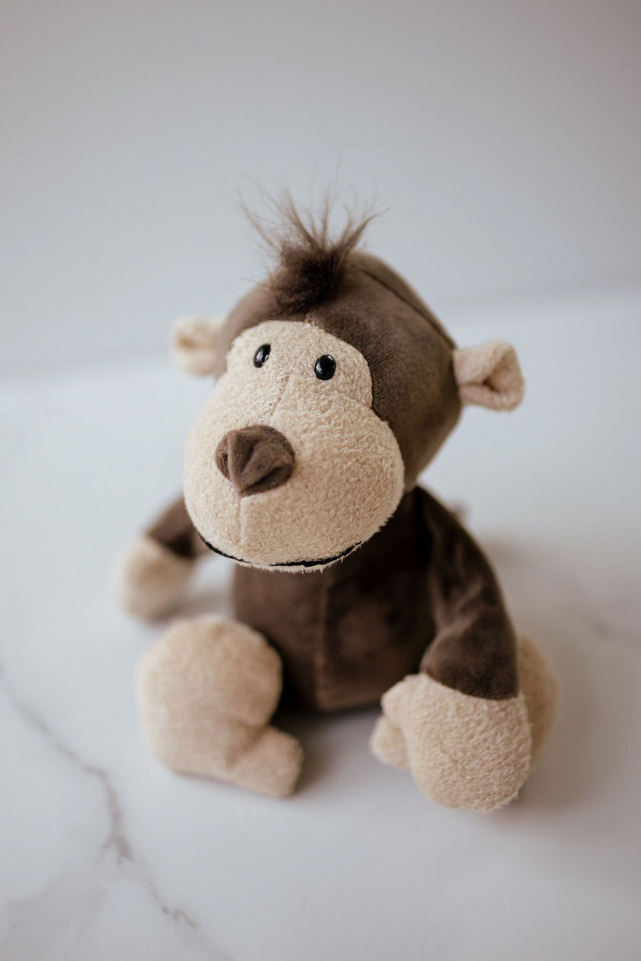 Marley the Monkey
