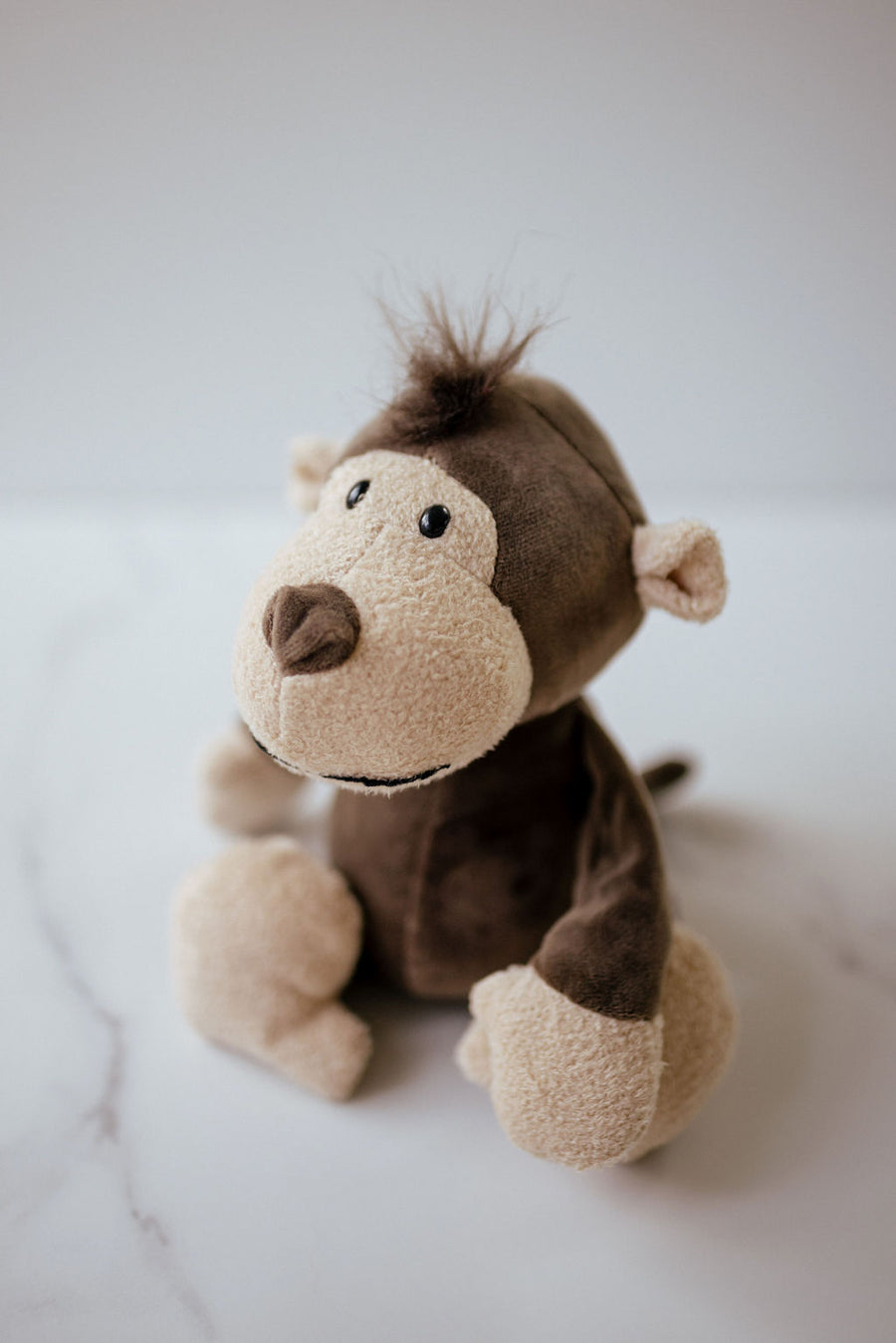 Marley the Monkey