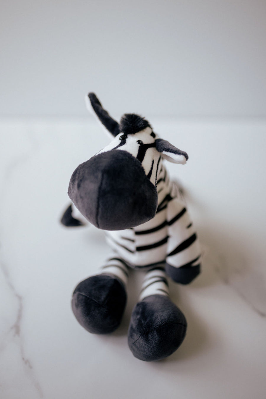 Zahara the Zebra