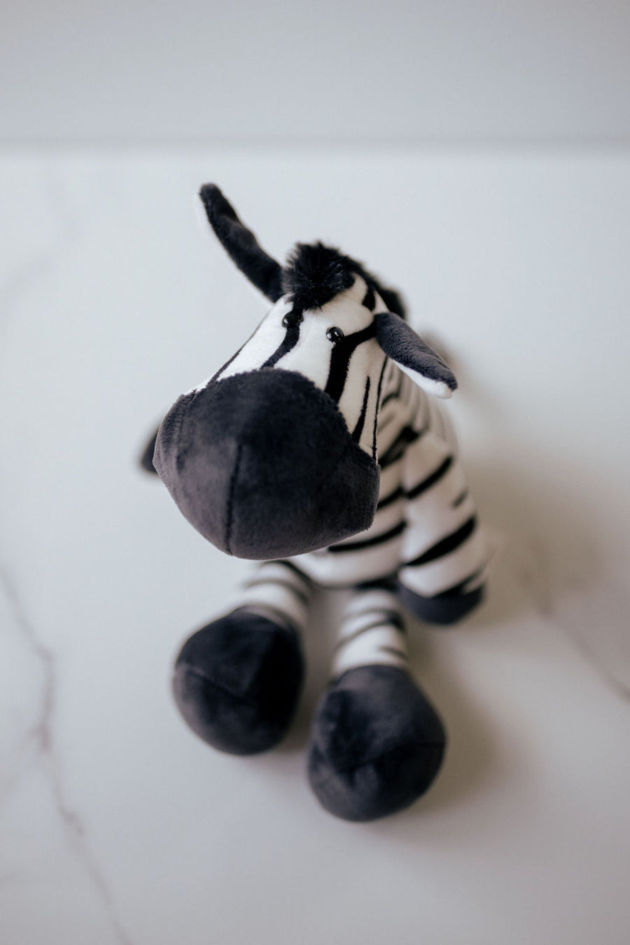 Zahara the Zebra