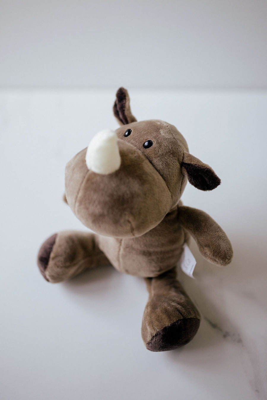 Rikki the Rhino