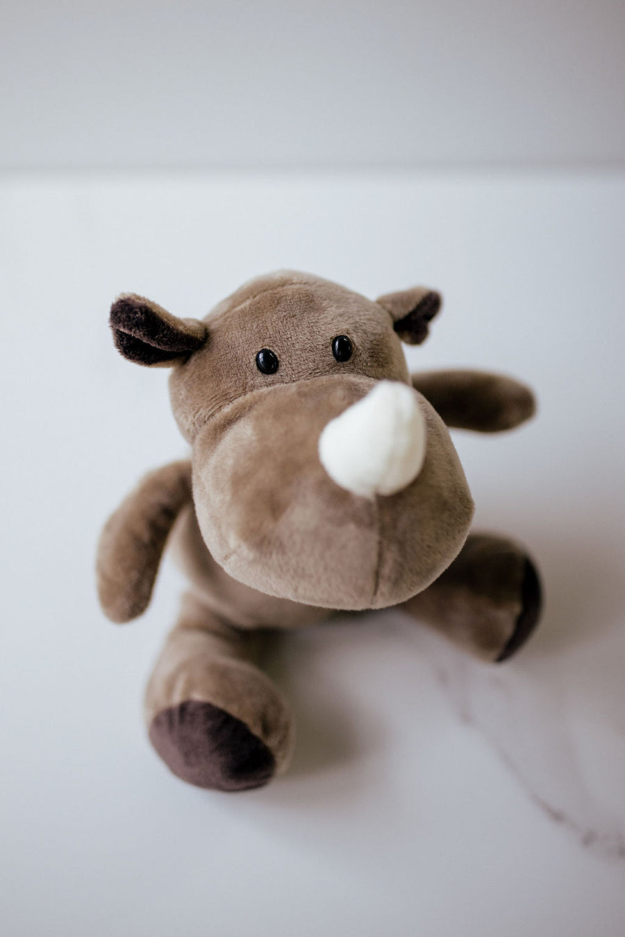 Rikki the Rhino