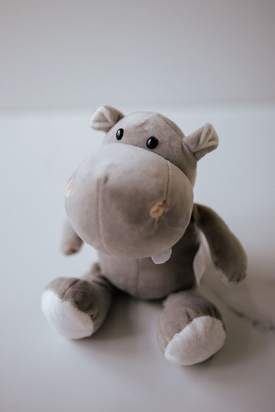 Hector the Hippo