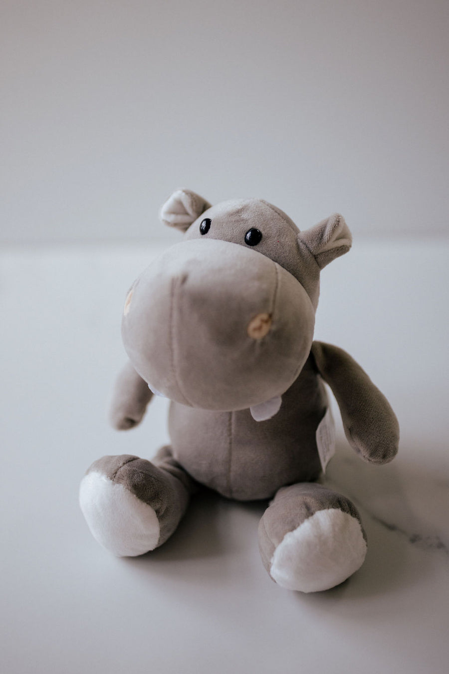 Hector the Hippo