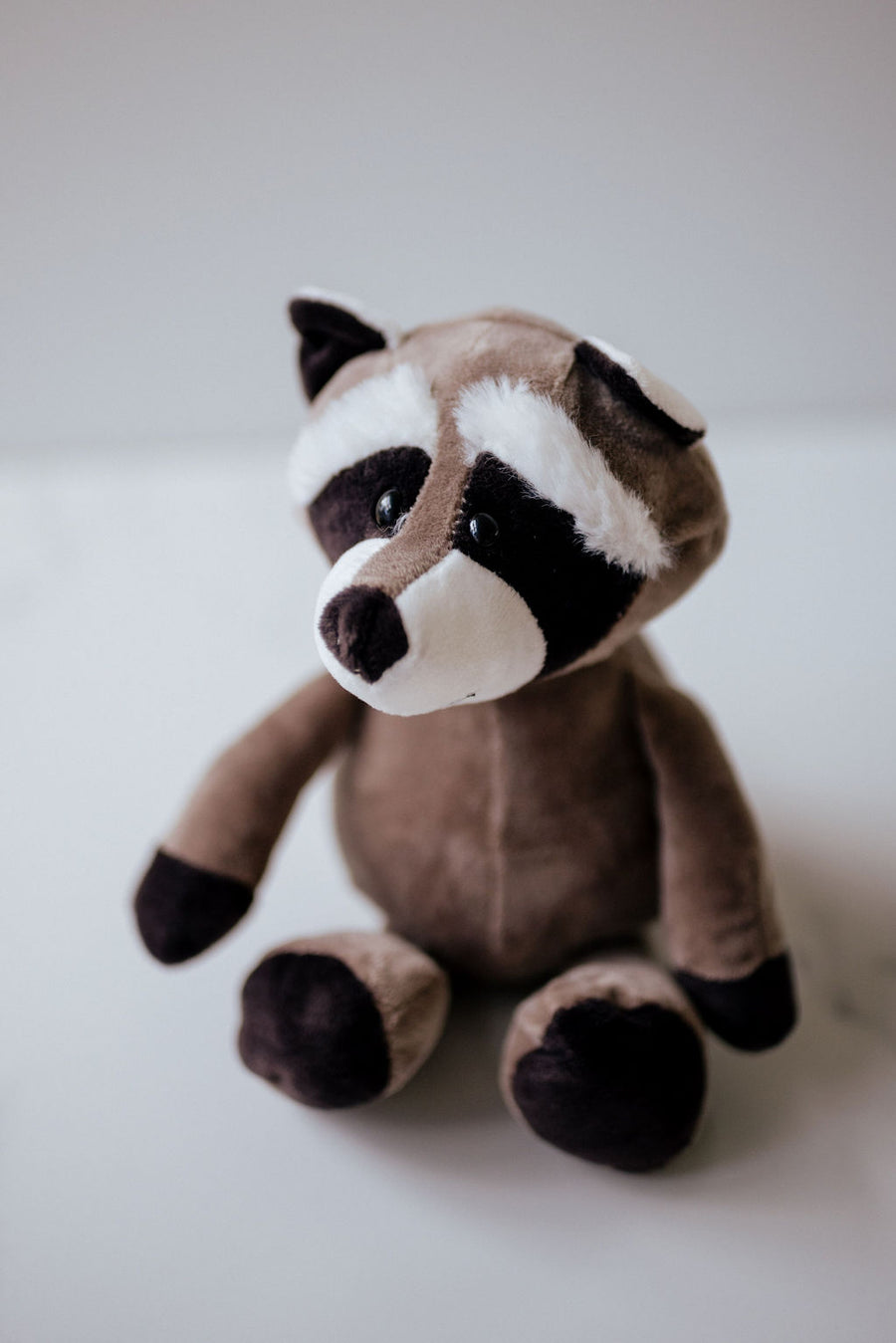 Rocco the Raccoon