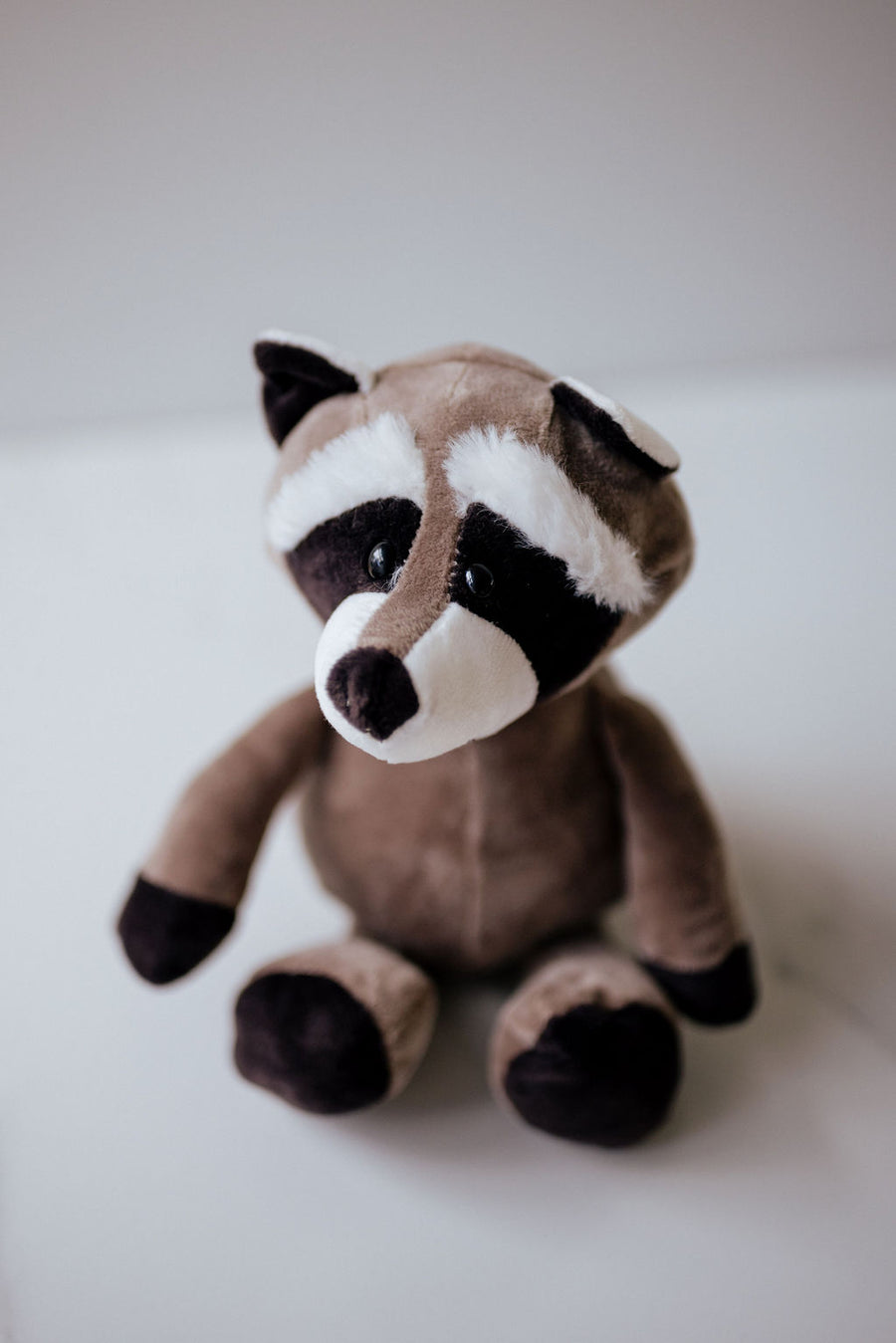 Rocco the Raccoon